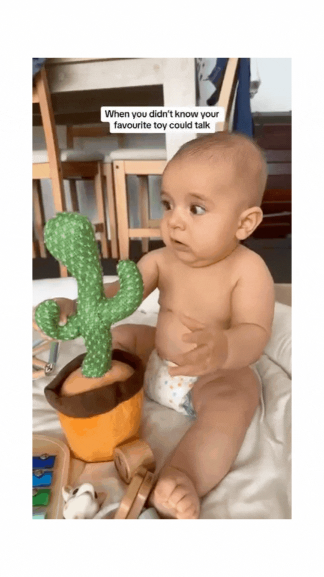 Dancing & Mimicry musical Cactus Toy