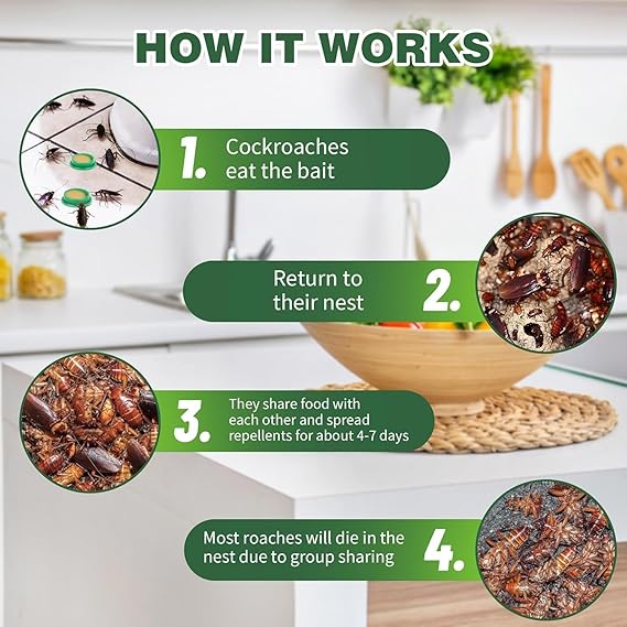 Cockroach Killer Gel (Pack of 12pc) BUY 1 GET 1 OFFER